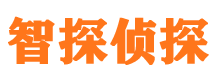 什邡市私家侦探